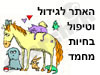 גידול וטיפול בחיות מחמד 