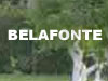 Belafonte.co.il