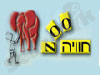 Zoo חוויה