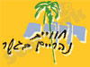 מיסטיק פיצה