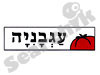 פיצה עגבניה 