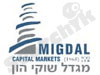 מגדל שוקי הון