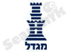 קבוצת מגדל 