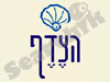 הצדף