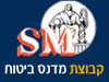 קבוצת מדנס