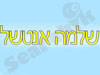 שלמה אנטשל 