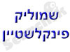 שמוליק פינקלשטיין