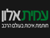 עמית אלון 