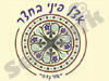אצל פיני בחצר