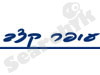 עופר קצב