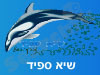 שיא-ספיד
