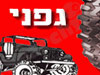 גפני צמיגי החוף