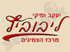 ליבוביץ מרכז הצמיגים