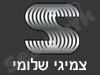 צמיגי שלומי 