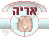 אריה