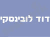 דוד לובינסקי 