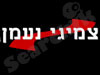 צמיגי נעמן 