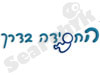 החסידה בדרך