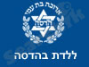 ללדת בהדסה 