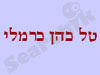 טל כהן כרמלי
