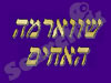 שווארמה האחים