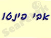 אבי פינטו