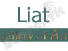 Liat Gallery Of Art