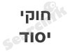 חוקי יסוד 