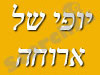 יופי של ארוחה