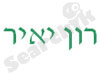 רון יאיר 