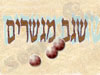 שגב מגשרים 