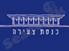 כנסת צעירה 
