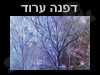 דפנה ערוד