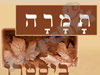 תמרה ביסטרו 
