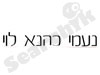 נעמי לוי 