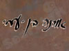 אורנה בן עמי 