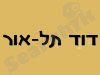 דוד תל אור