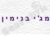 הגלריה של מג`י בנימין 