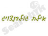 אילת גולדנצויג 