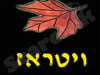 ויטראז