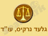 גלעד נרקיס