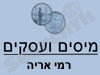 רמי אריה 