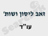 זאב ליסון ושות' 