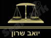 יואב שרון