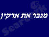 מנבר את ארקי