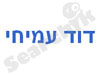 דוד עמיחי 