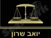 יואב שרון
