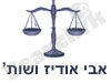 אבי אודיז ושות`