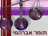 תומר אברהמי