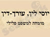 יוסי לין